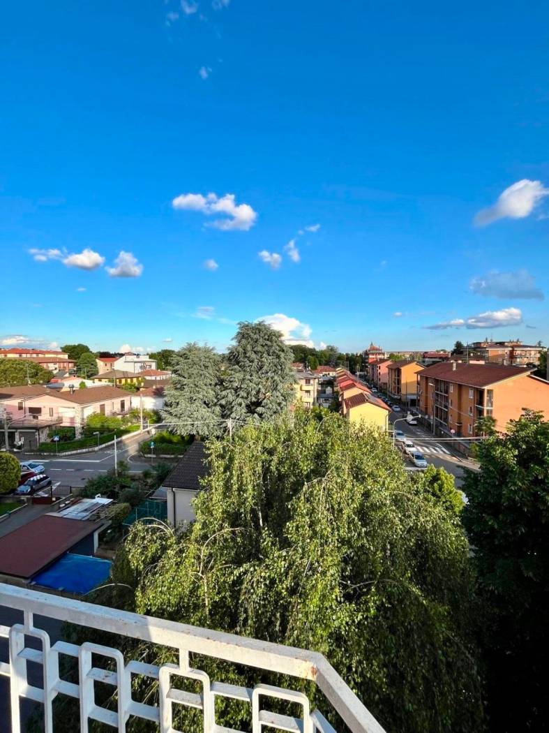 Vista
