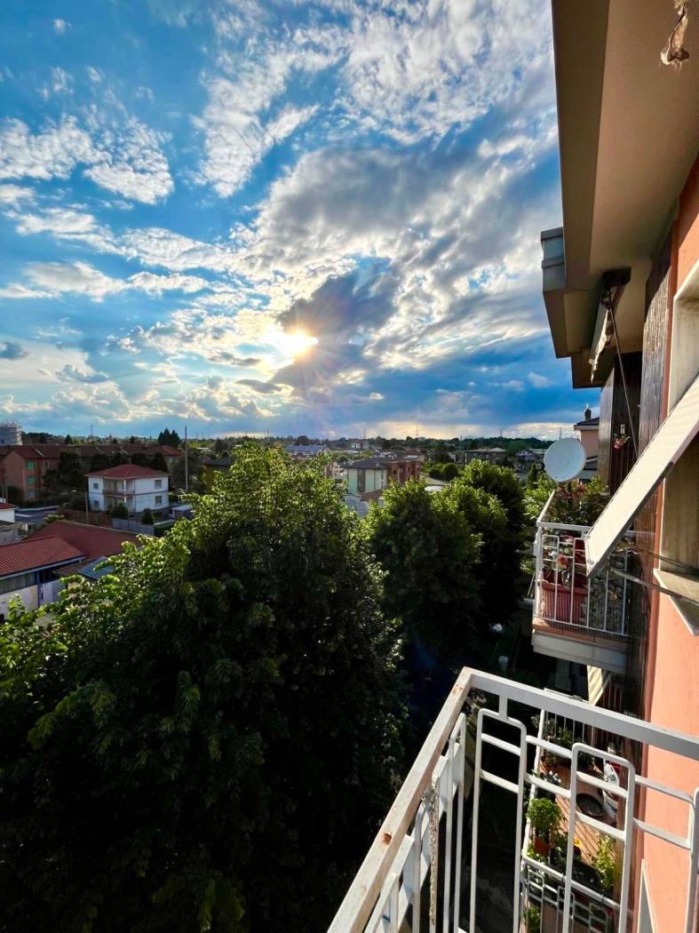 Vista
