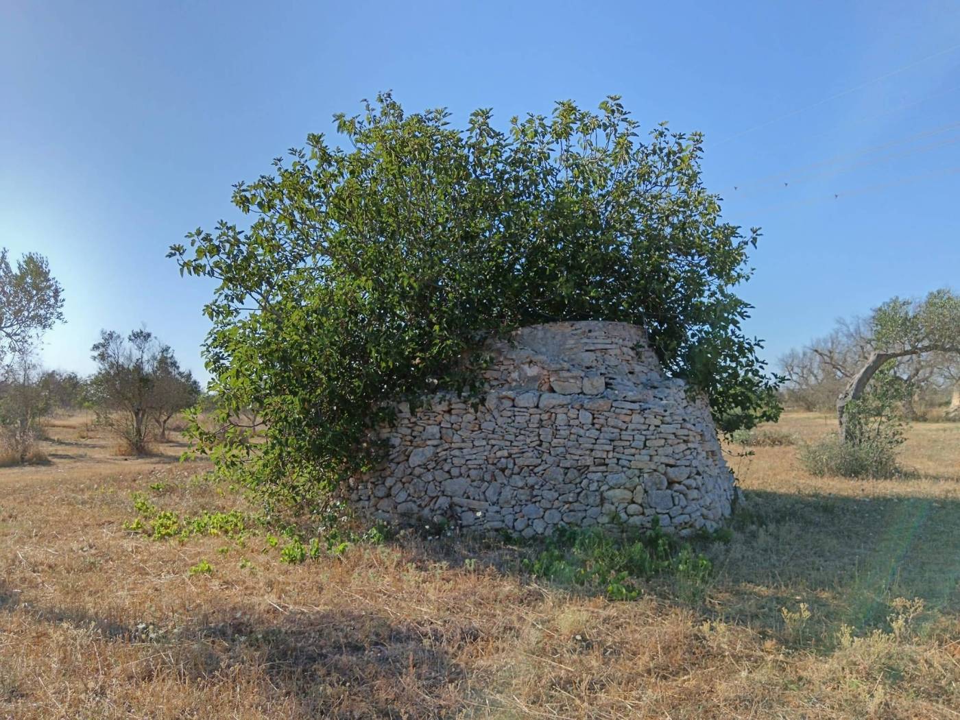 Trullo