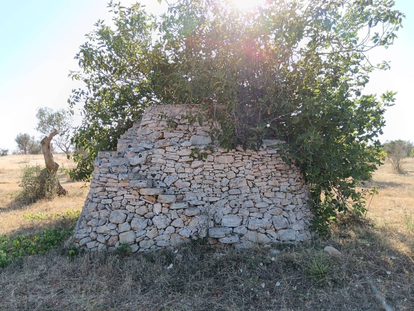 Trullo