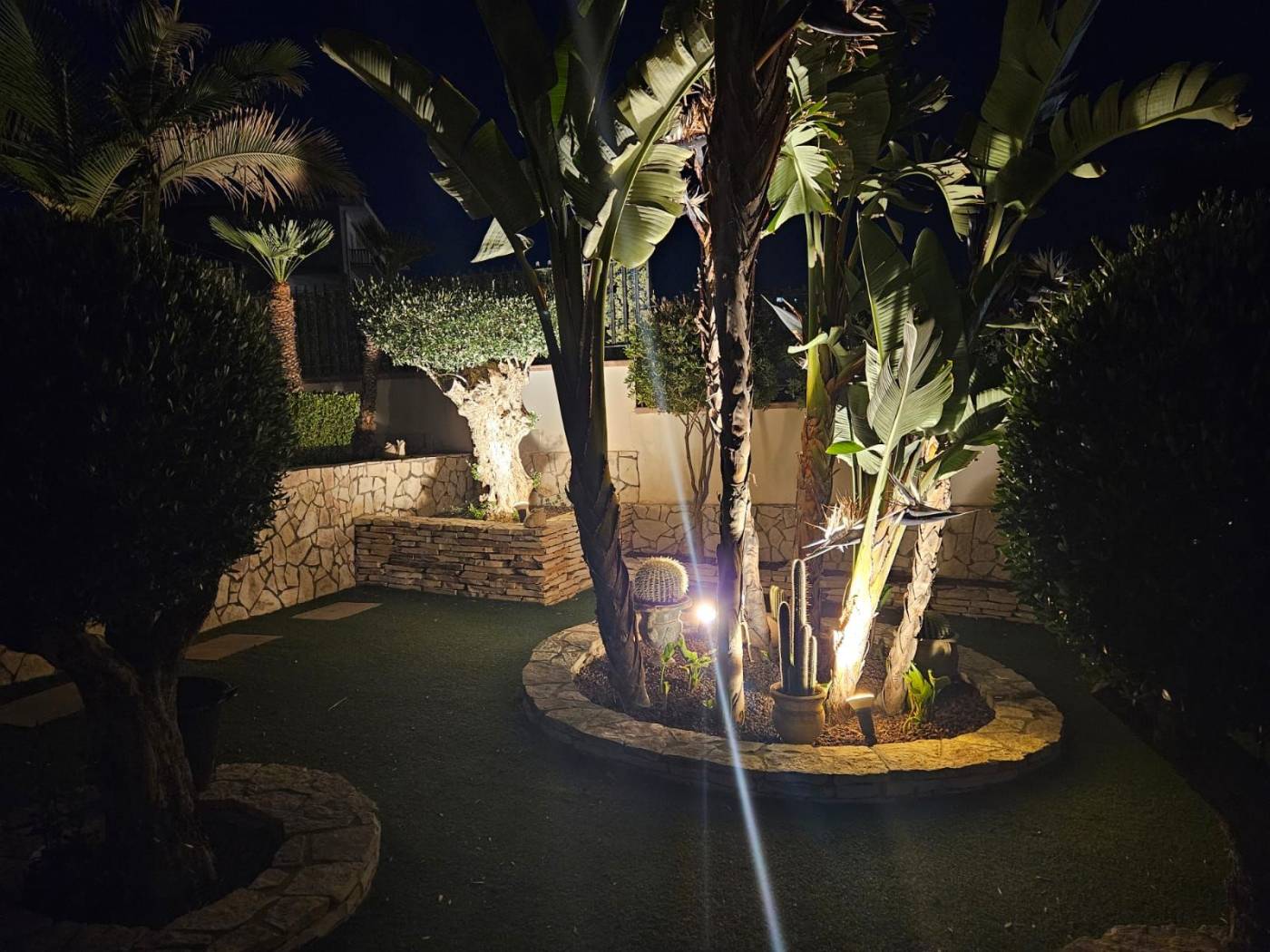 Particolare notturno del giardino