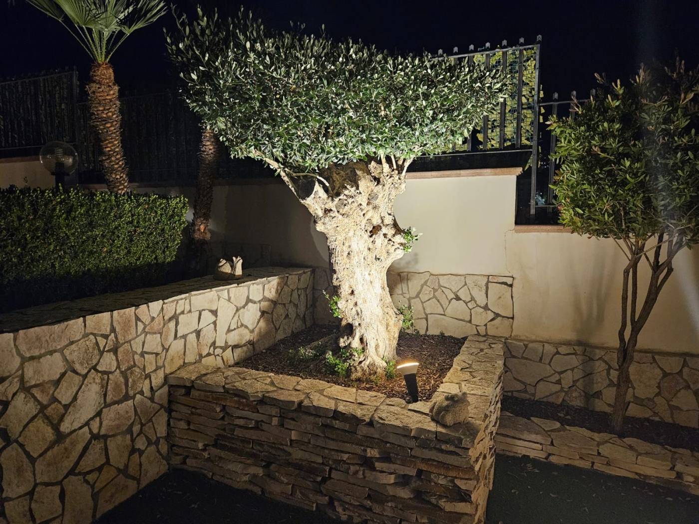 Particolare notturno del giardino