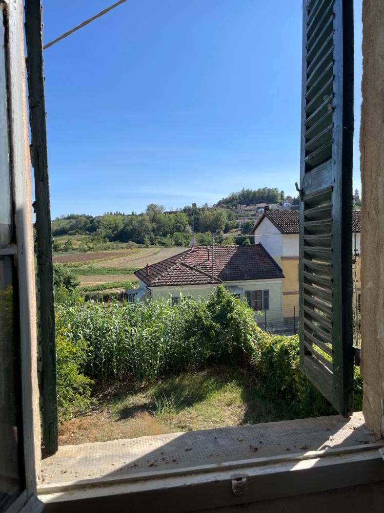 Vista