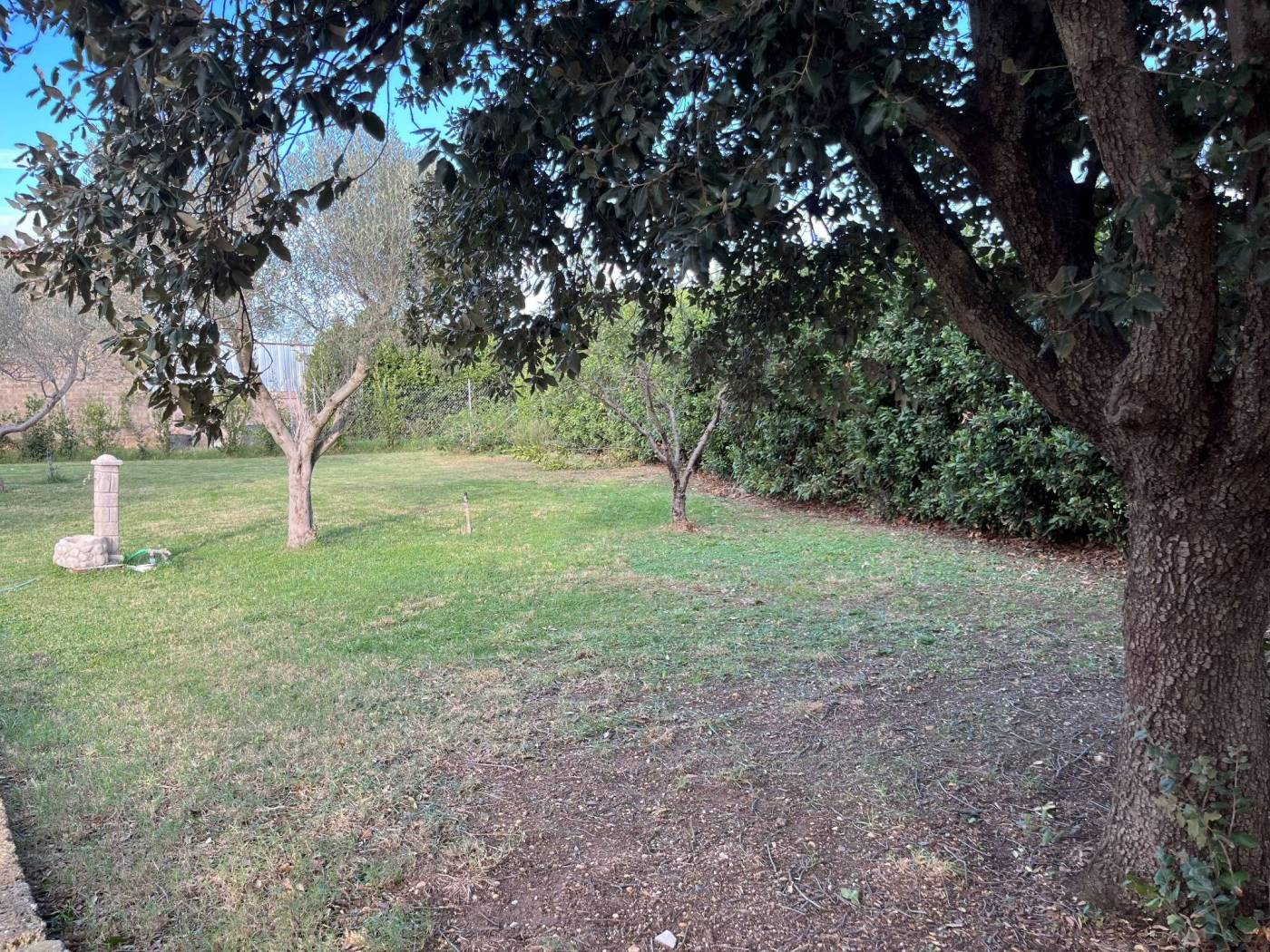 Terreno