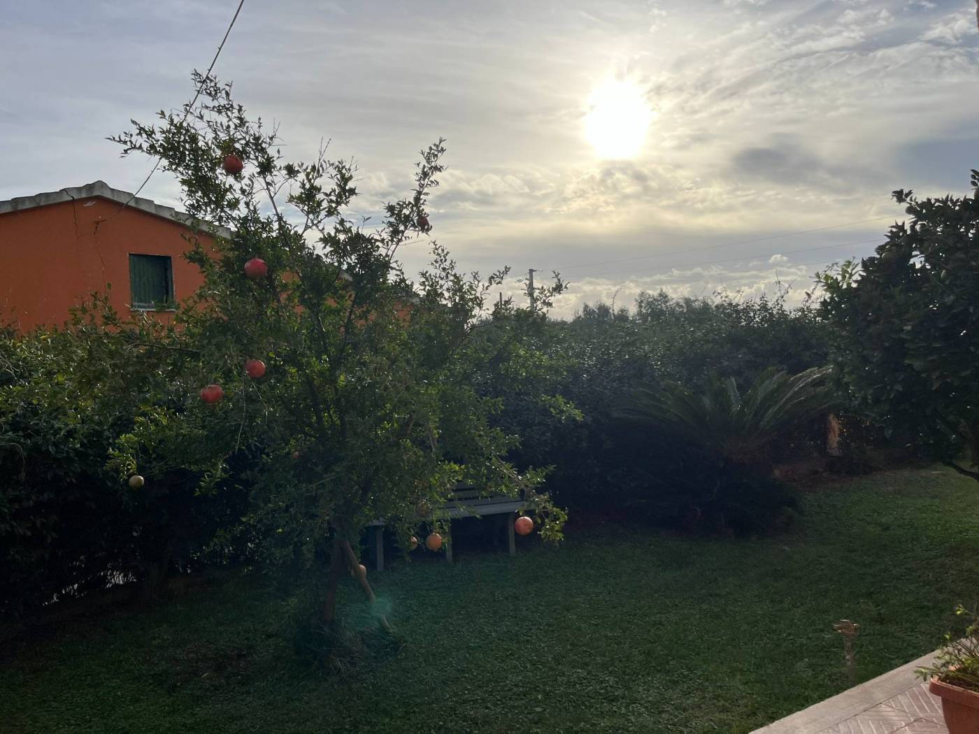 Giardino