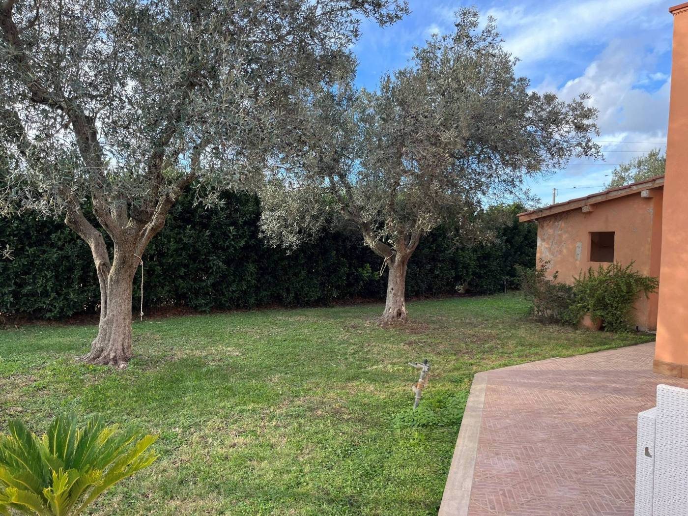 Giardino