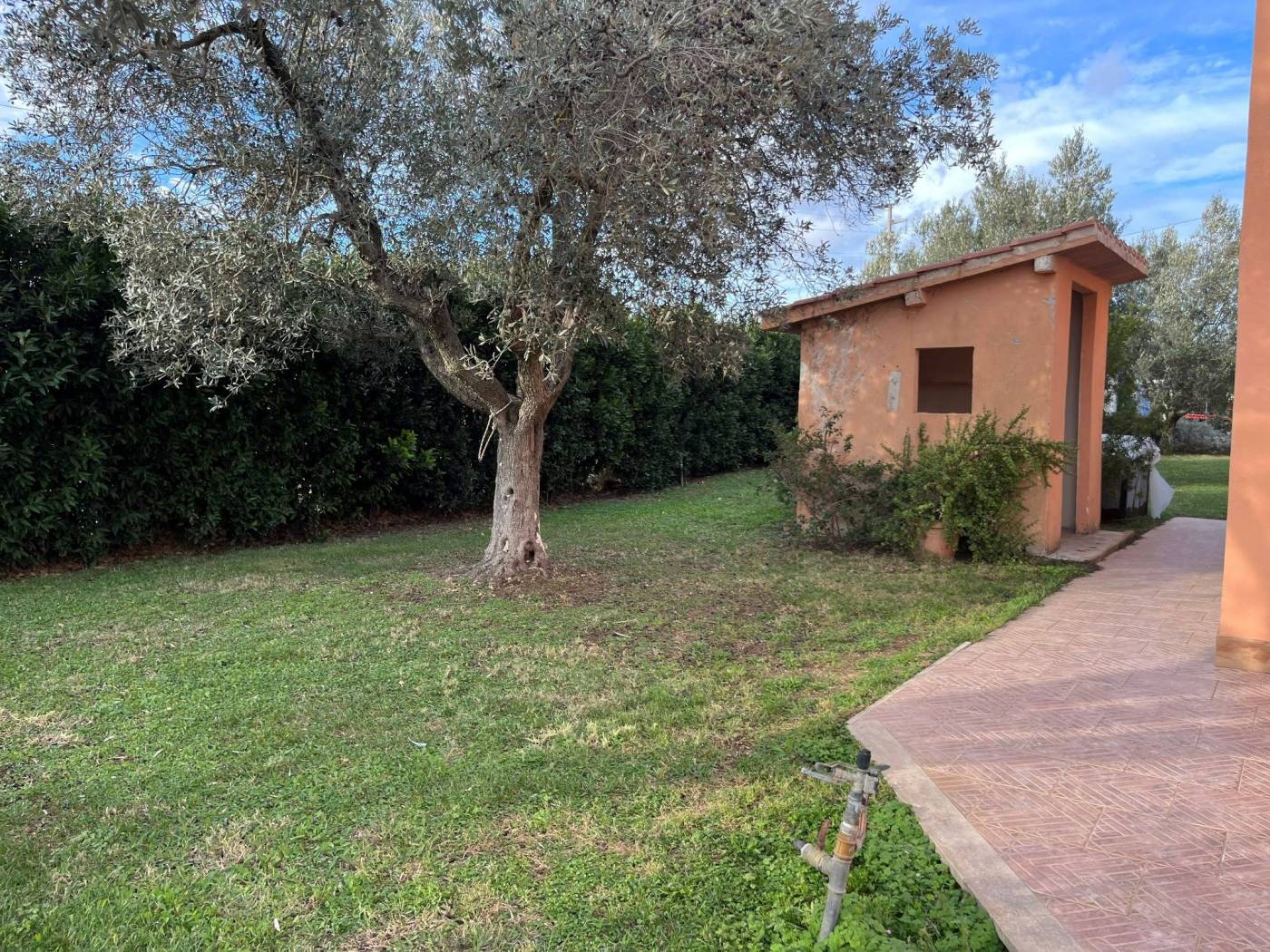 Giardino