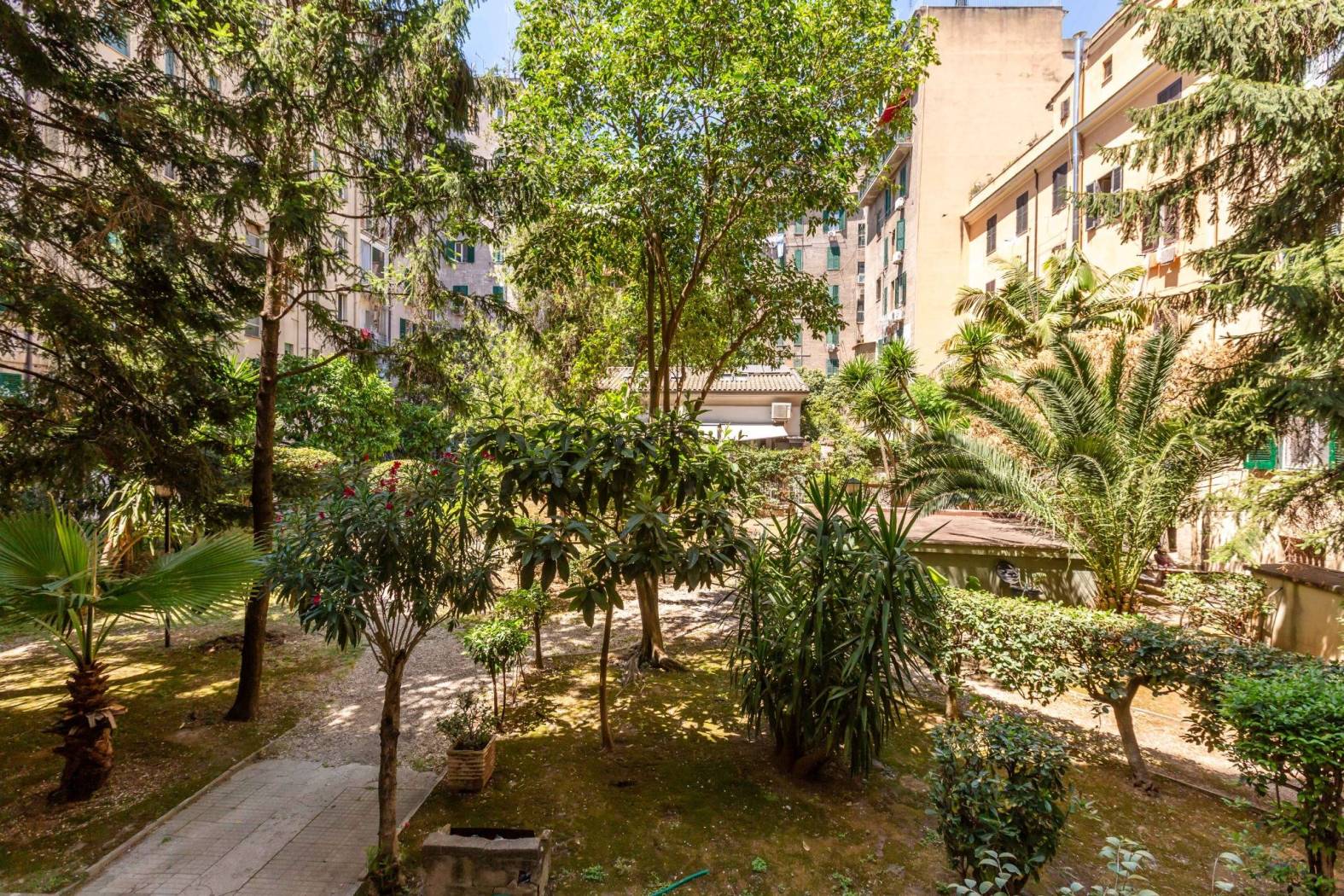 Giardino
