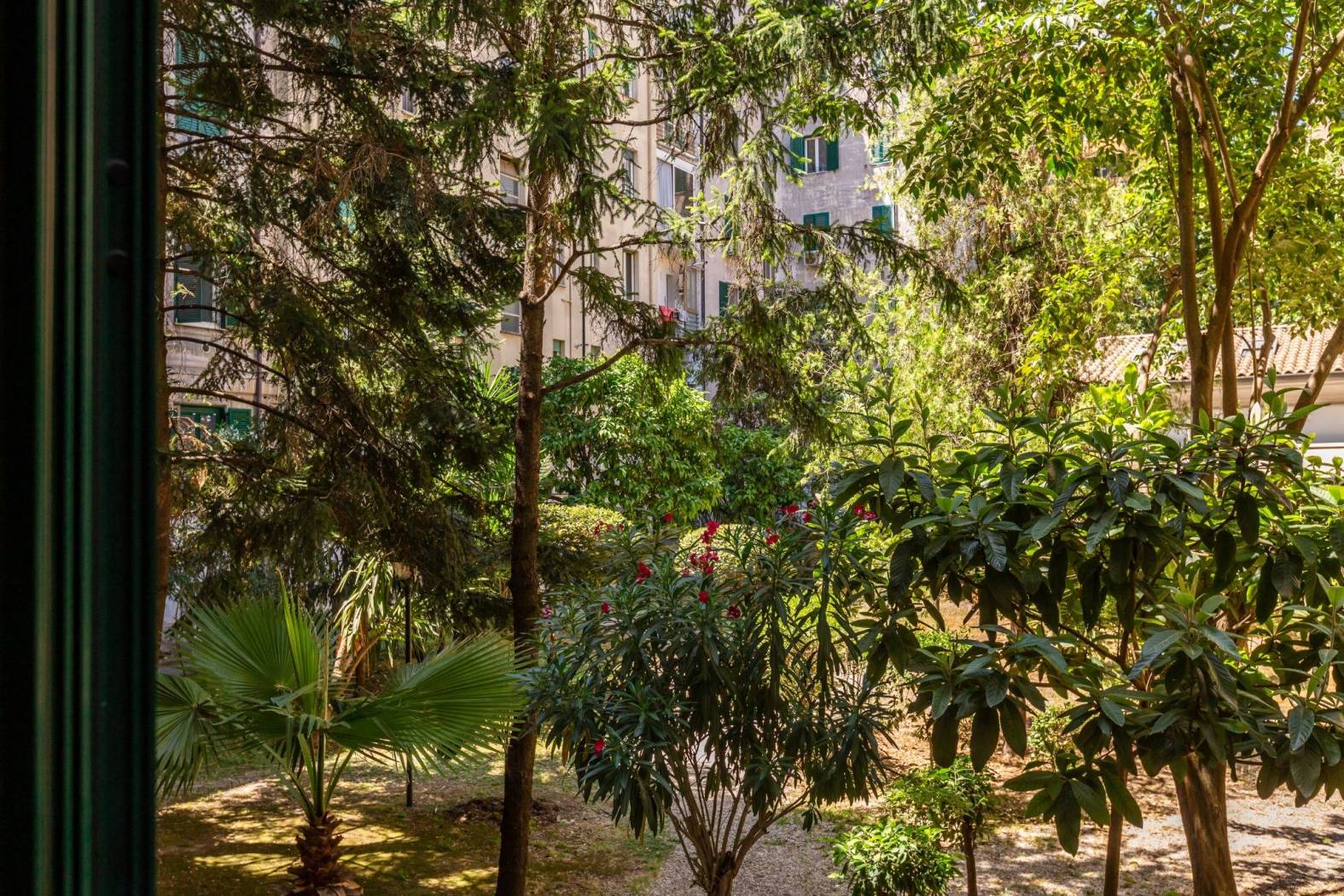 Giardino