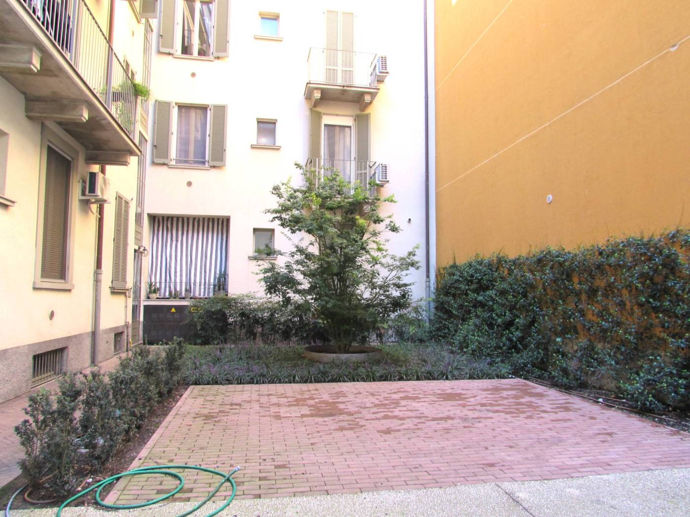 Giardino