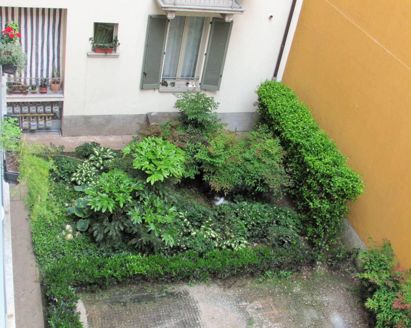 Giardino