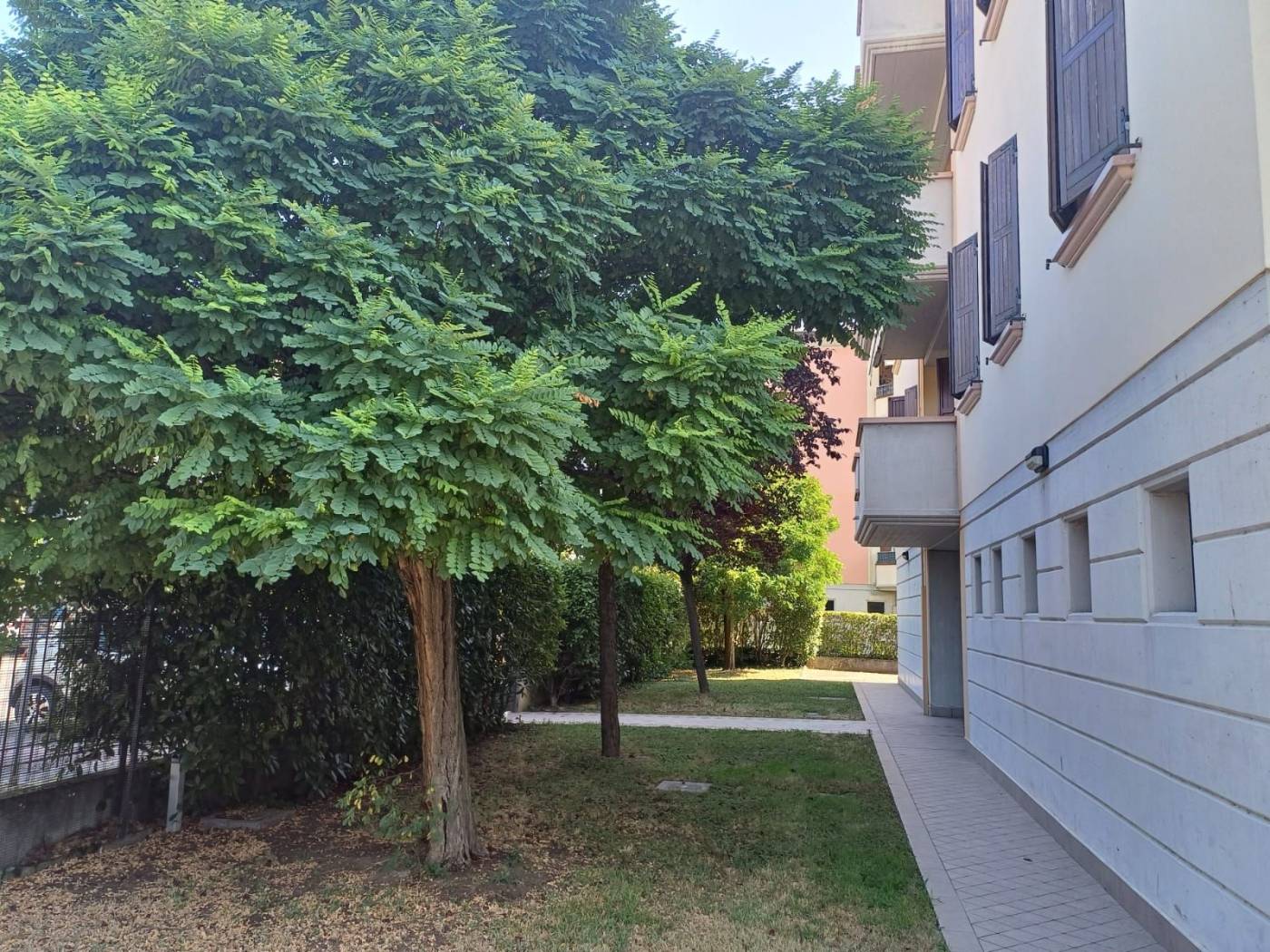 Giardino