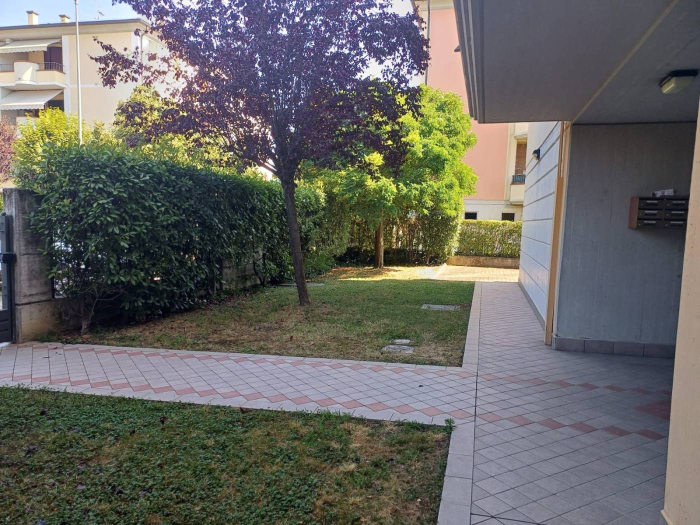 Giardino