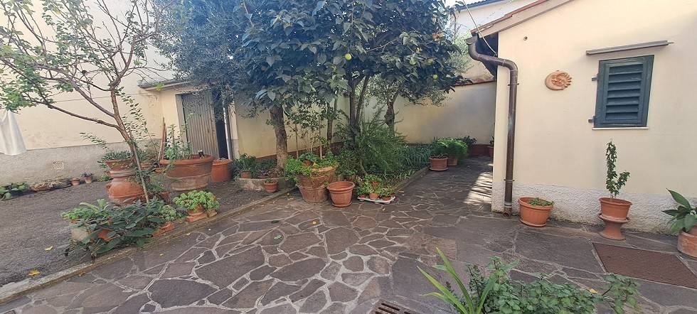 Giardino