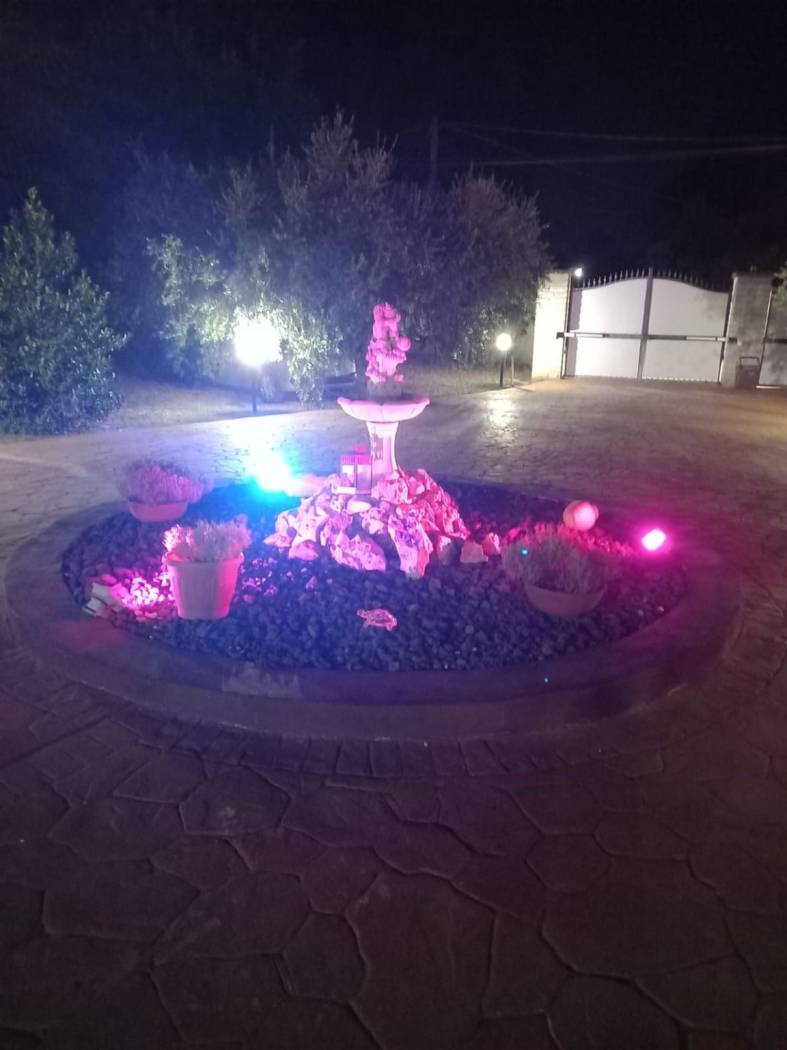 Zona