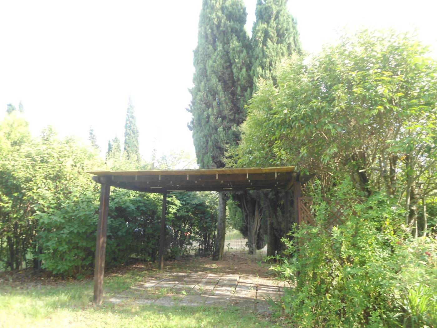 Giardino