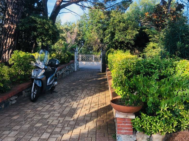 Giardino