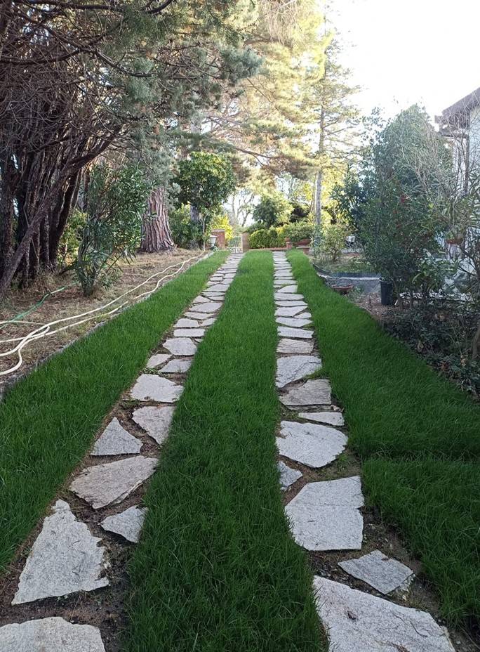 Giardino