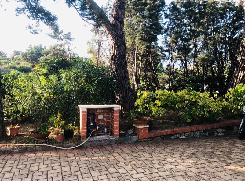 Giardino