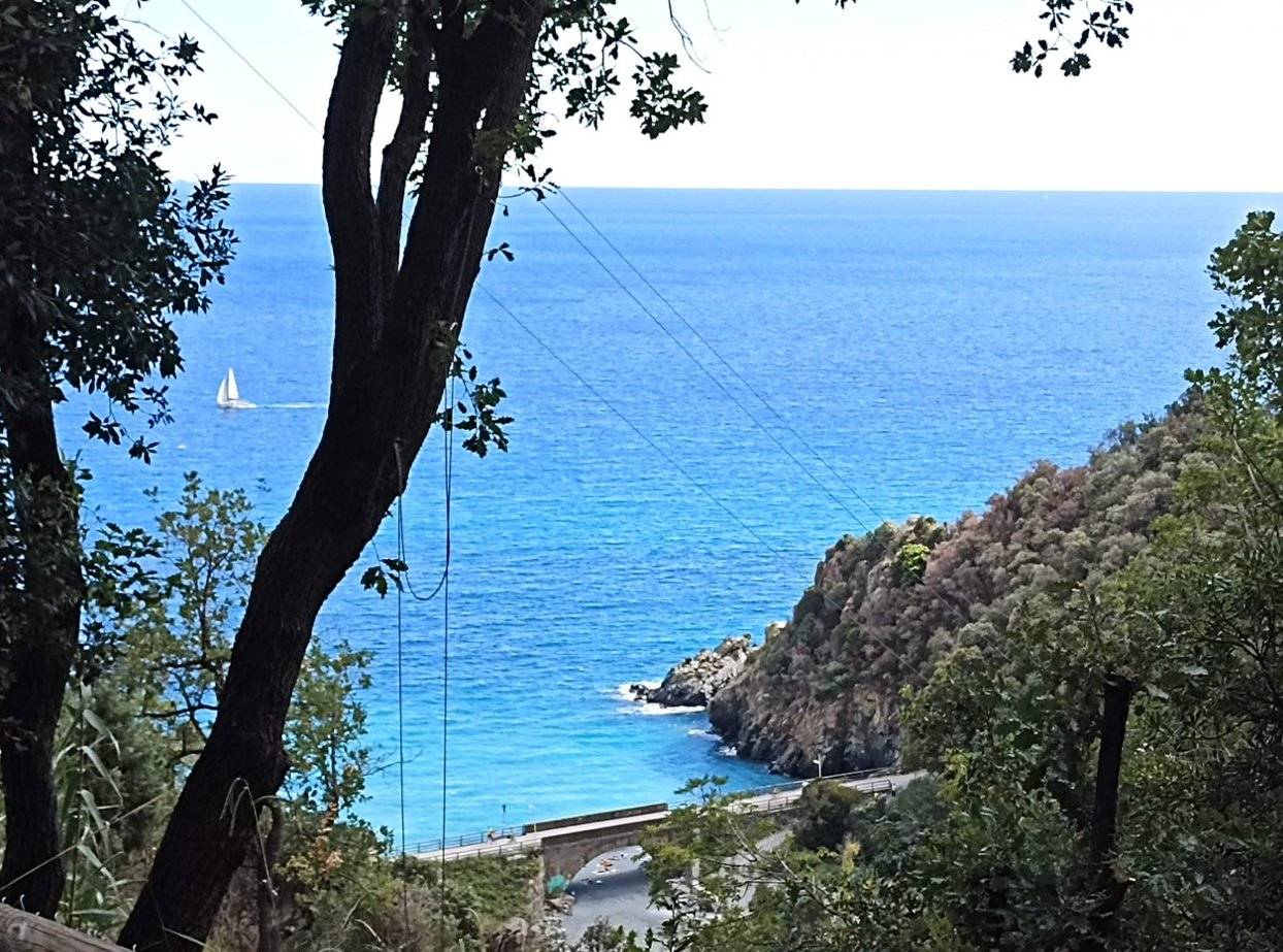 Vista