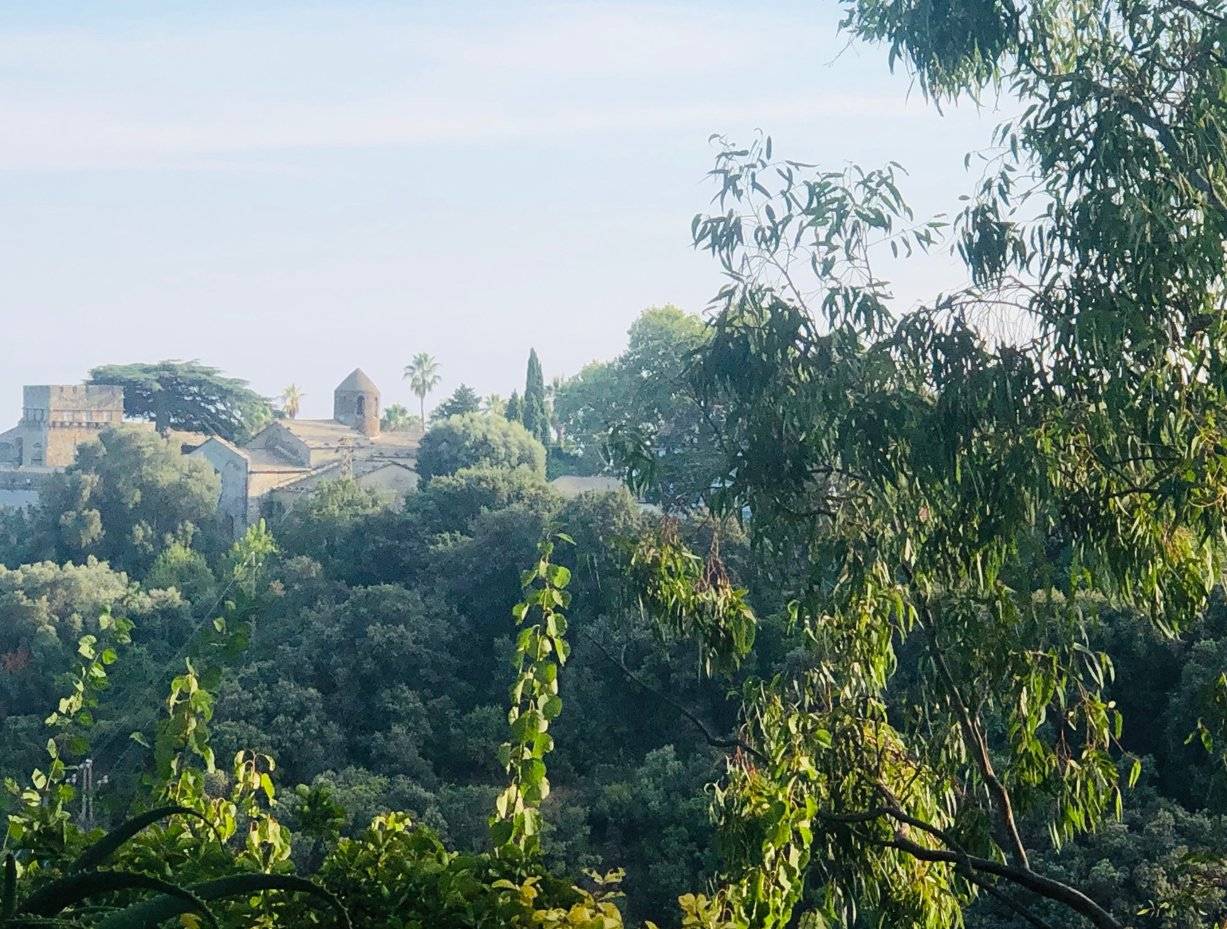 Vista