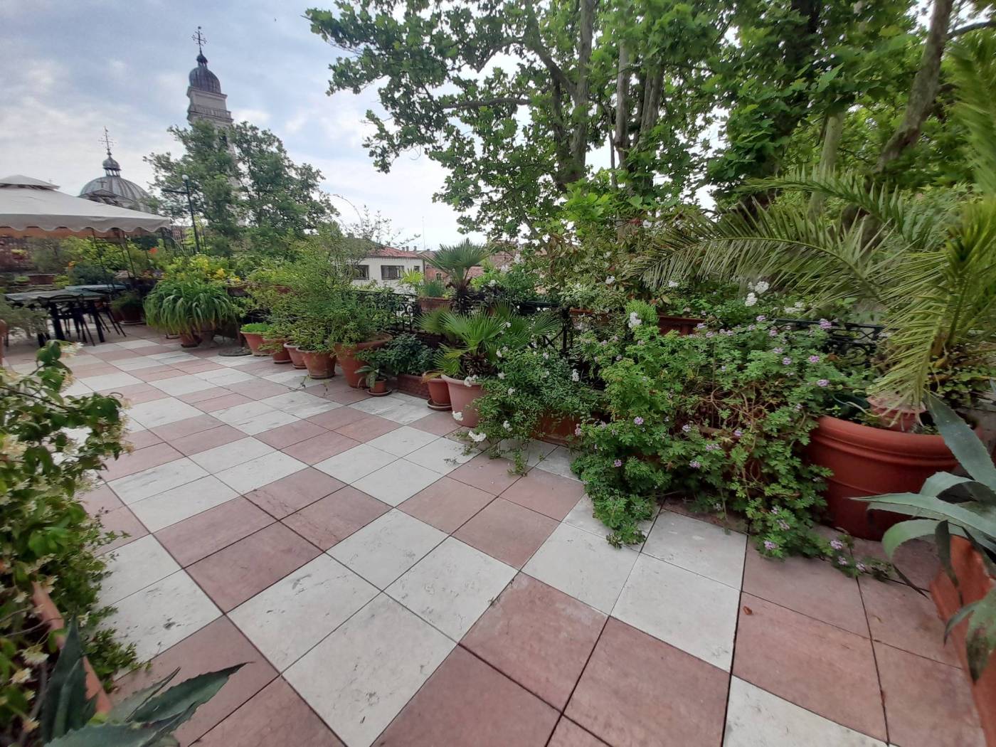 Giardino