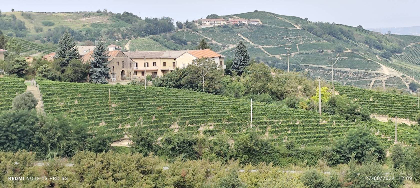 Vista