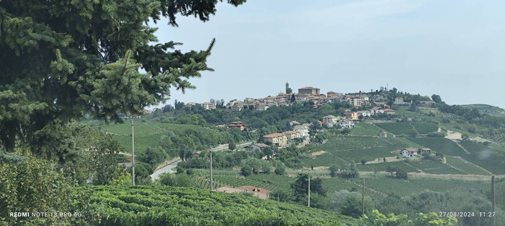 Vista