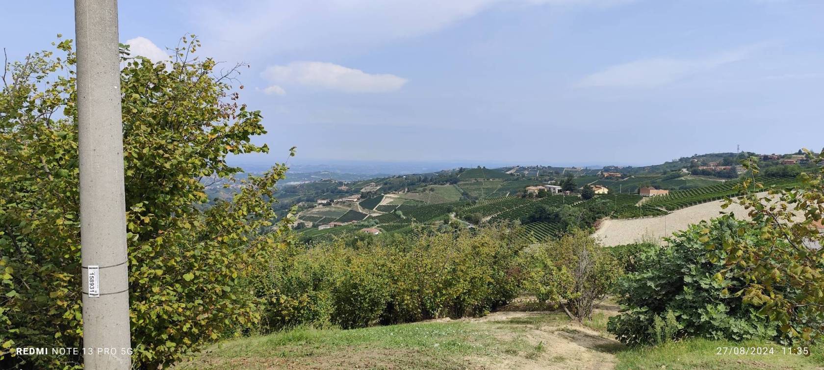 Vista