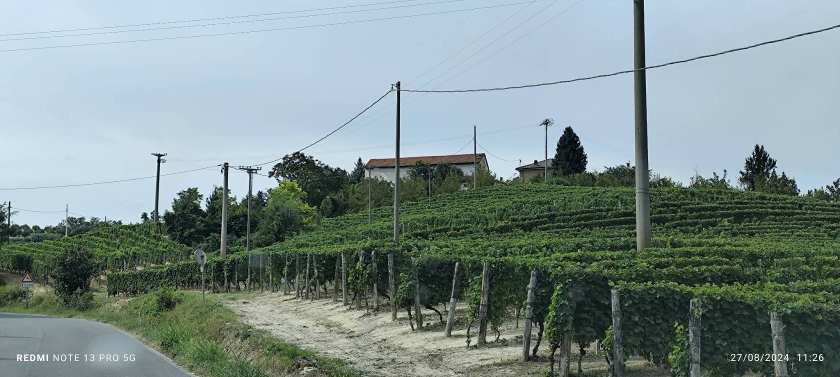 Terreno
