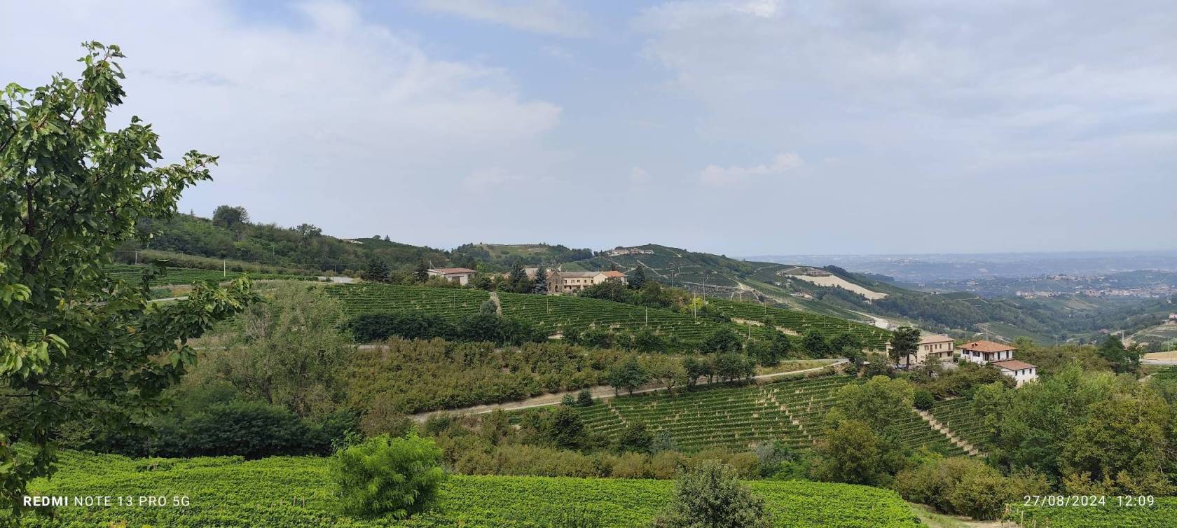Vista