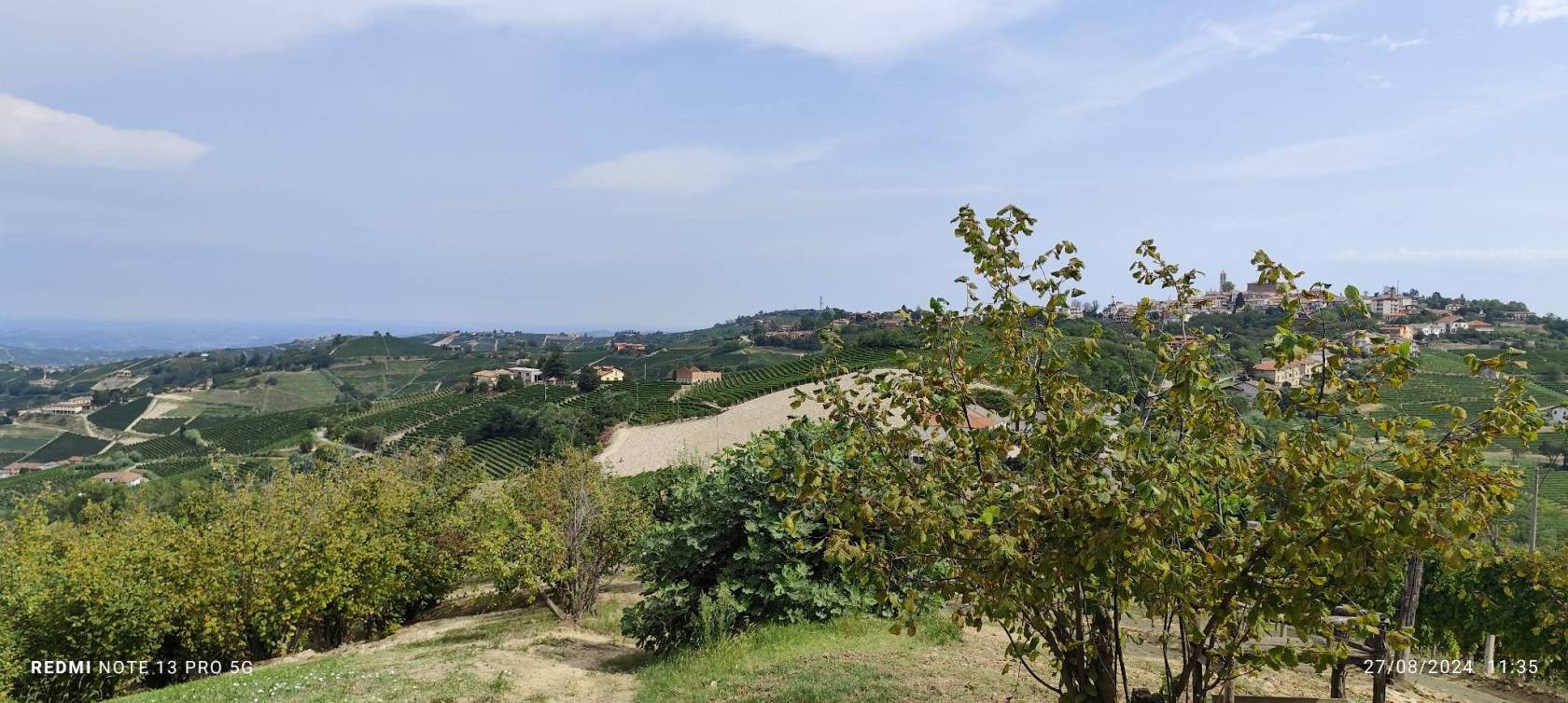 Vista