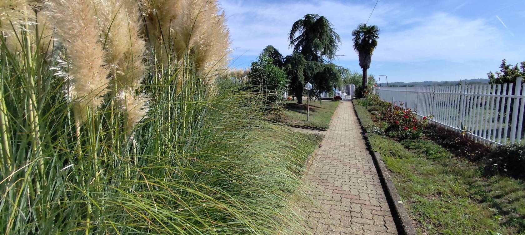Giardino