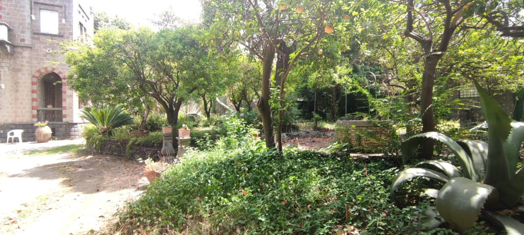 Giardino