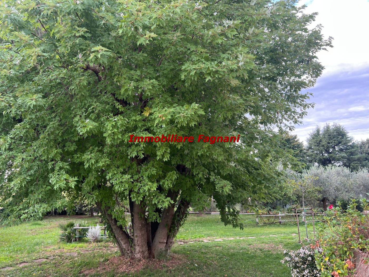 GIARDINO
