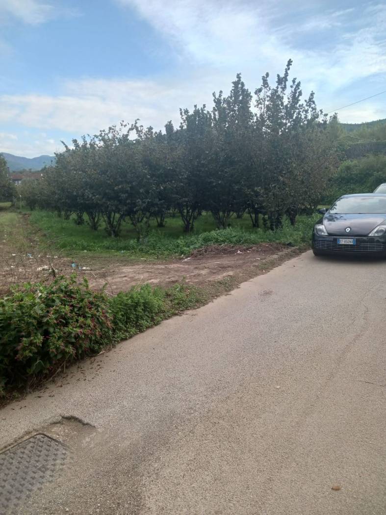Terreno