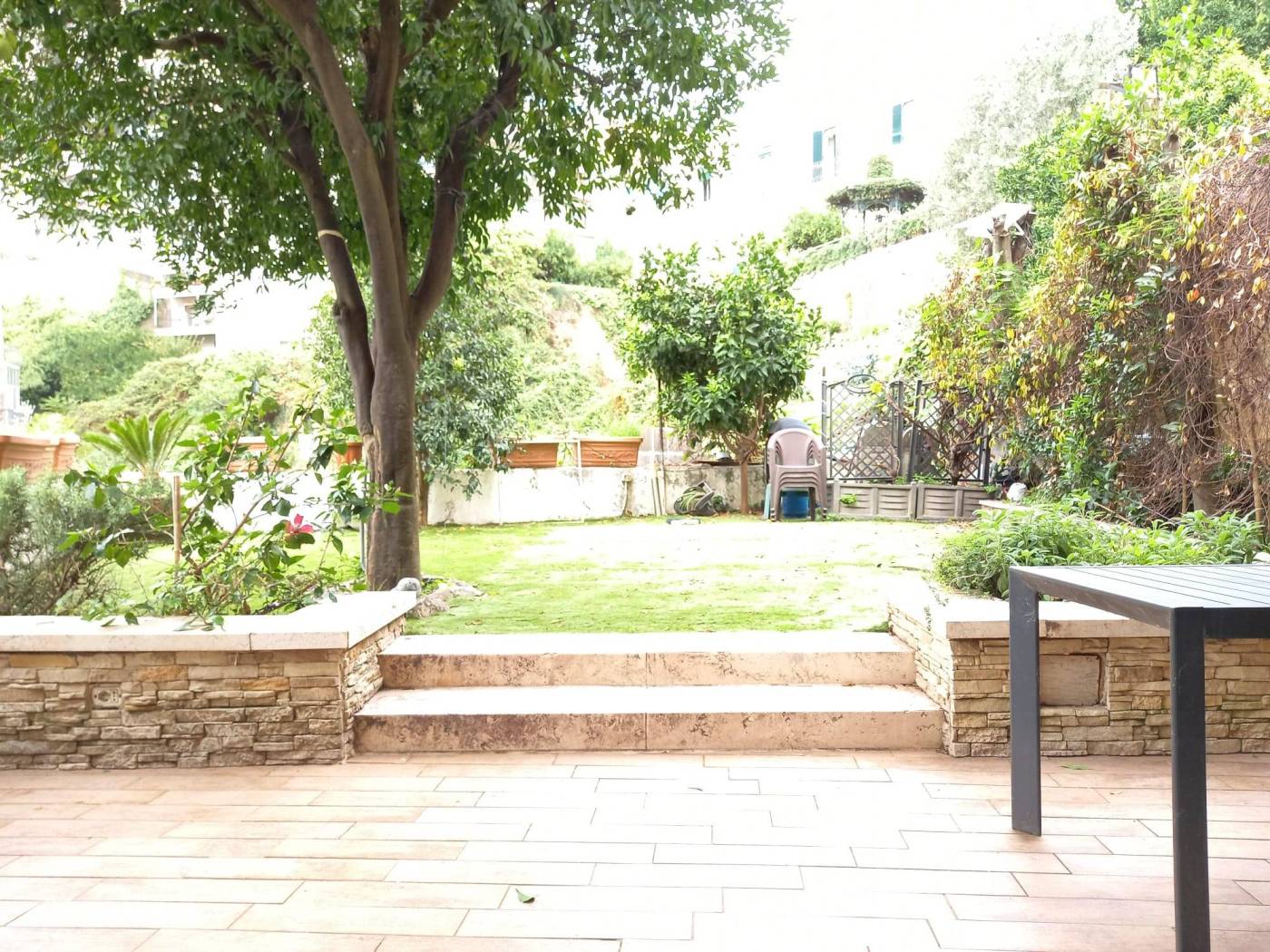 Giardino