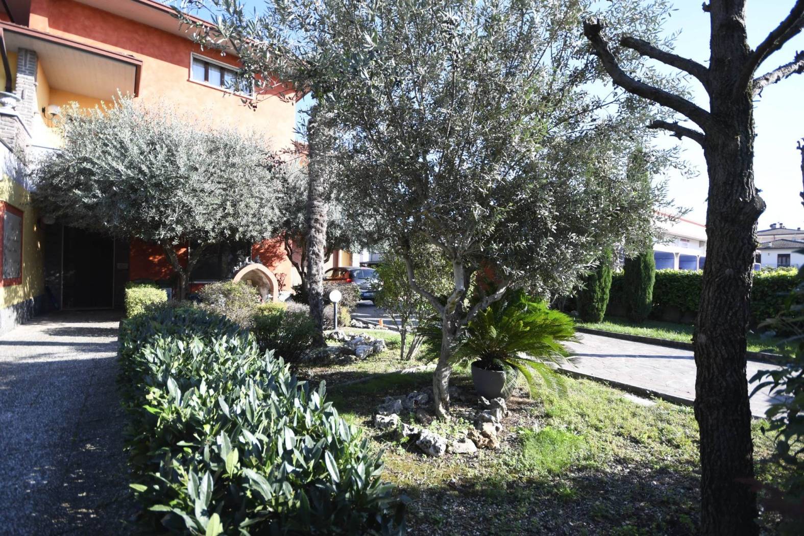 Giardino