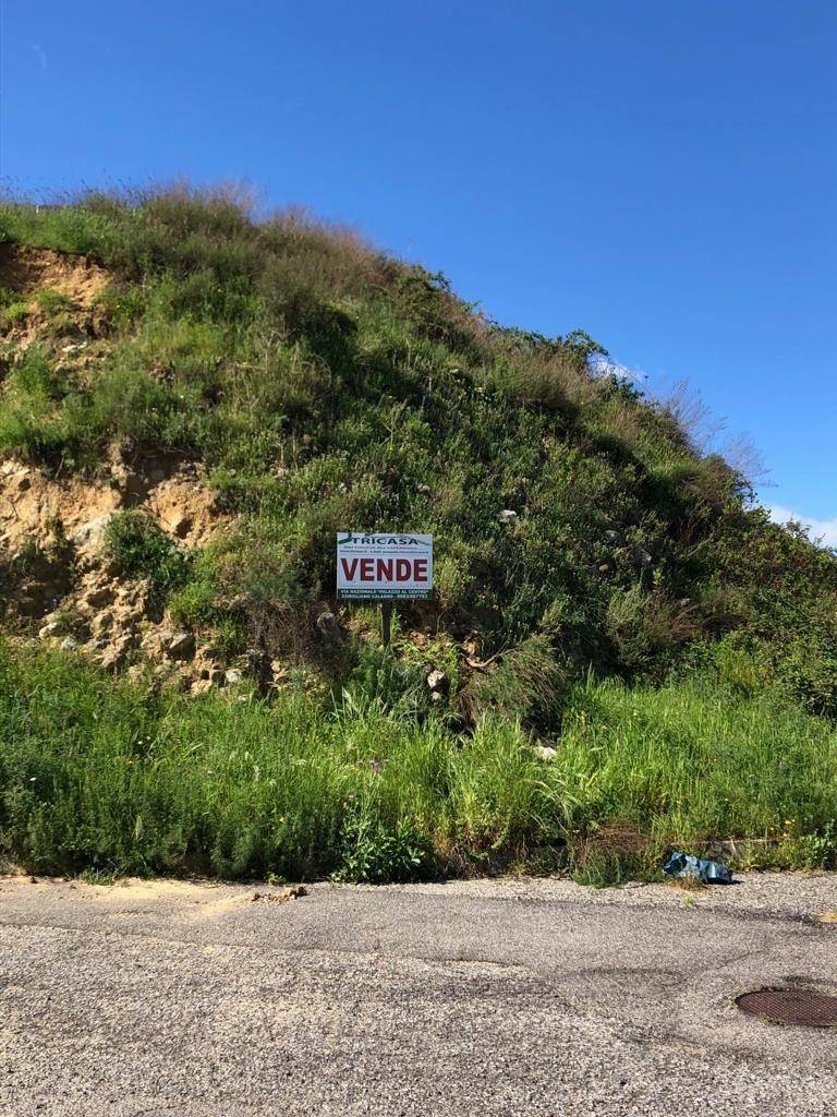 WhatsApp Image 2019-04-10 at 10.00.06(1).jpeg