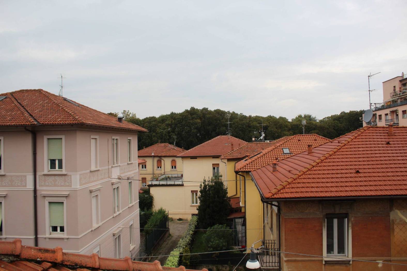 Vista