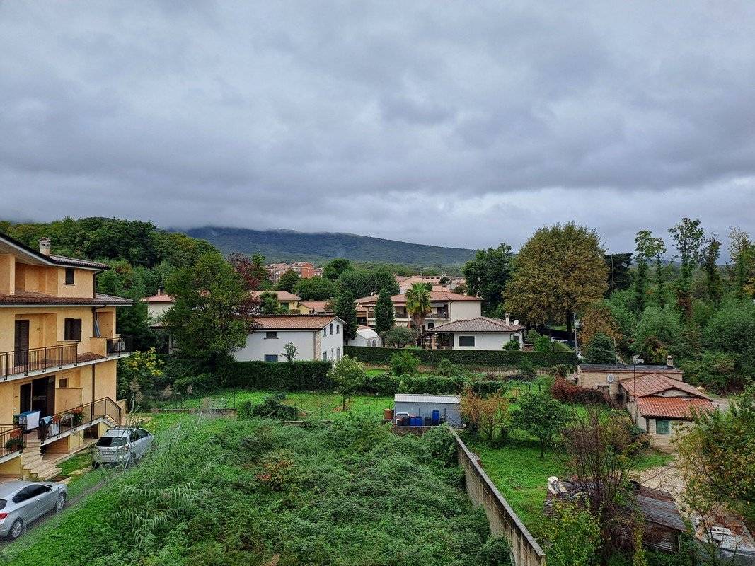 Vista