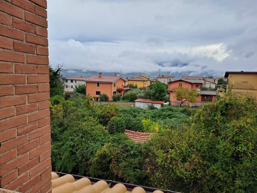Vista