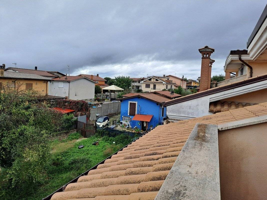 Vista