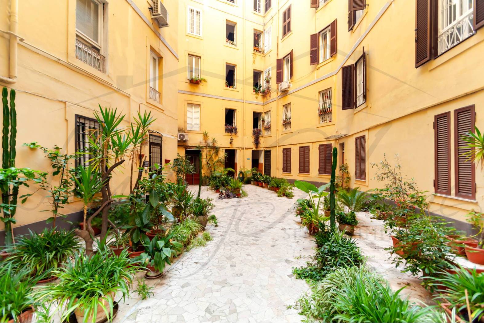 Giardino