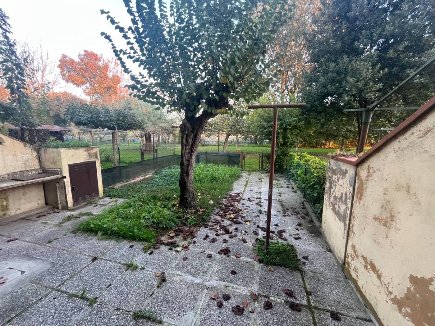 Giardino