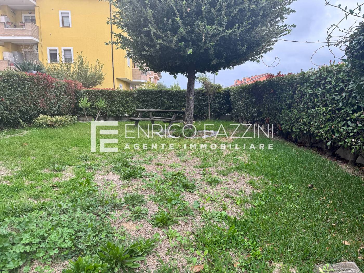 Giardino