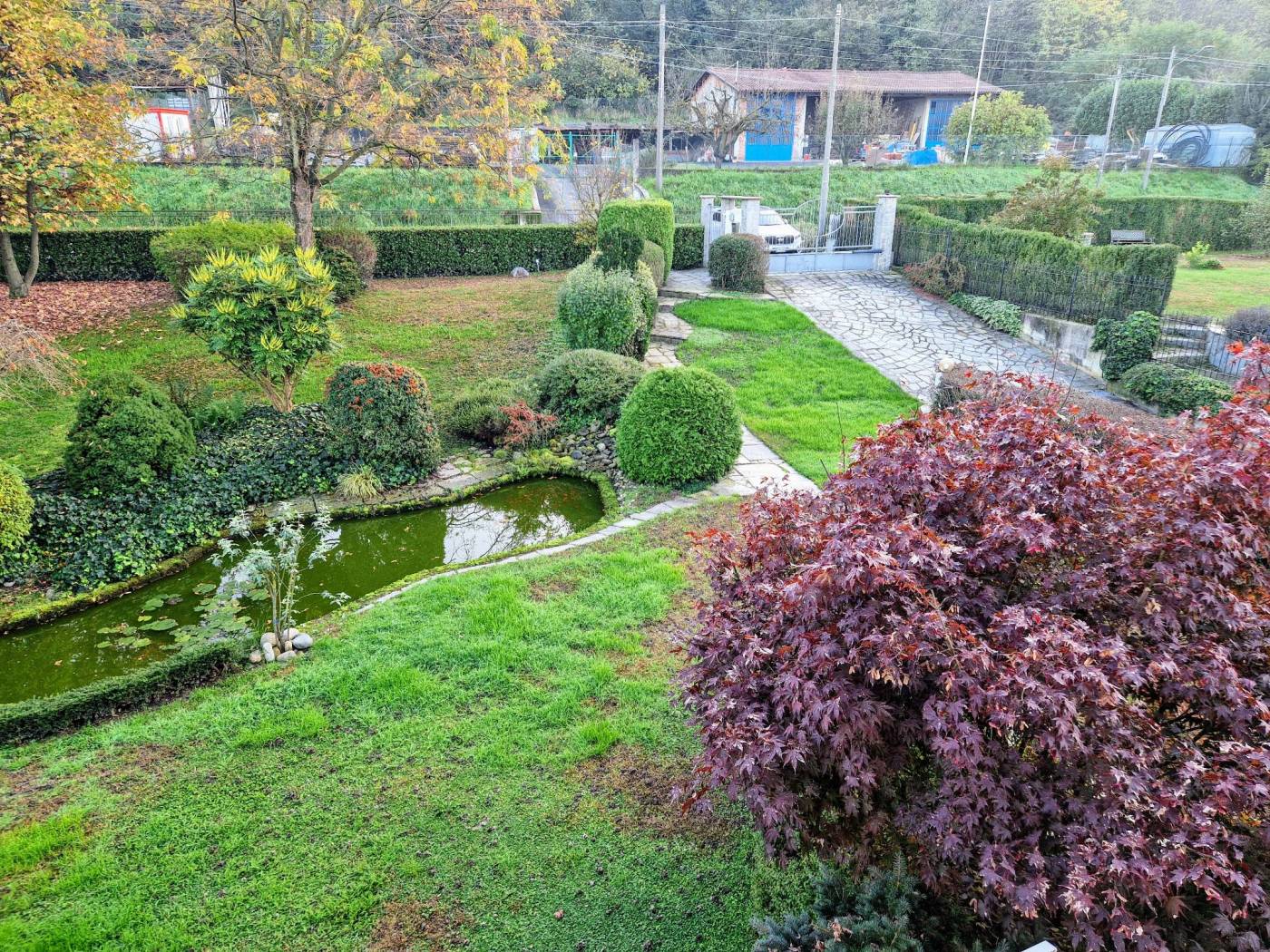 Giardino