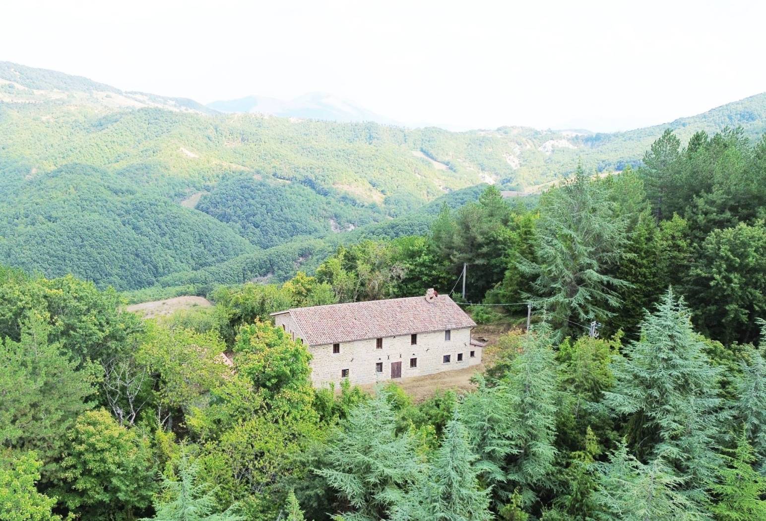 Vista