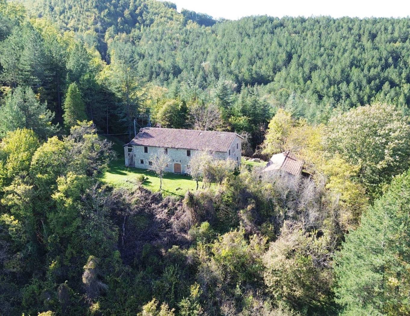 Vista