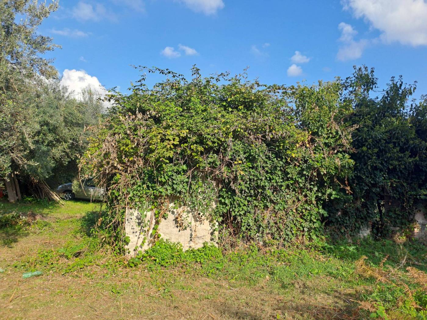 Terreno